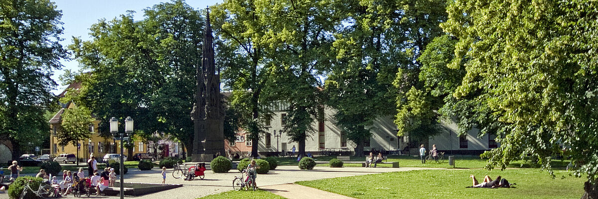 Research in Greifswald